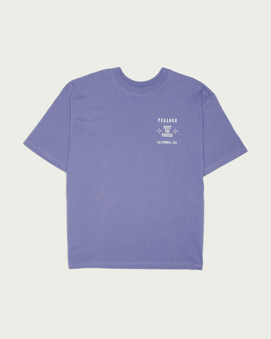 PGDR " Salal " Tee